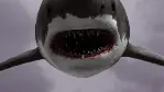 샤크 스톰 포스터 (Sharknado poster)