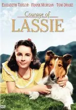 용감한 래시 포스터 (Courage Of Lassie poster)