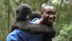 비룽가 포스터 (Virunga poster)