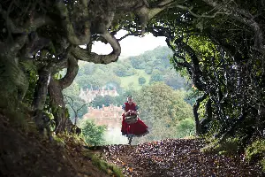 숲속으로 포스터 (Into the Woods poster)