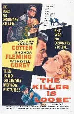 킬러 풀려나다 포스터 (The Killer Is Loose poster)
