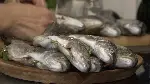 슈퍼피쉬 - 끝없는 여정 포스터 (Super Fish 3D poster)