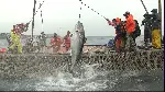 슈퍼피쉬 - 끝없는 여정 포스터 (Super Fish 3D poster)
