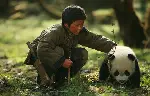 팬더의 집으로 가는 길 포스터 (Touch of the Panda poster)