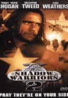 워리어스 포스터 (Warriors of Virtue poster)
