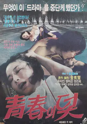 청춘의 덫 포스터 (The Trappings Of Youth poster)