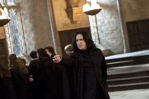 해리 포터와 죽음의 성물2 포스터 (Harry Potter and the Deathly Hallows: Part 2 poster)