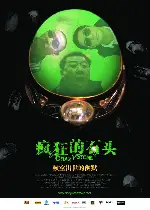 크레이지 스톤 포스터 (Crazy Stone poster)