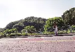 리틀 핑거 포스터 (The Little Finger and the Forbidden Body poster)