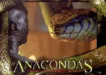 아나콘다2 : 사라지지 않는 저주 포스터 (Anacondas: The Hunt For The Blood Orchid poster)