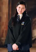 해리 포터와 불의 잔 포스터 (Harry Potter and the Goblet of Fire poster)