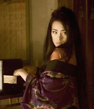 게이샤의 추억 포스터 (Memoirs of a Geisha poster)