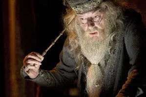 해리 포터와 불의 잔 포스터 (Harry Potter and the Goblet of Fire poster)