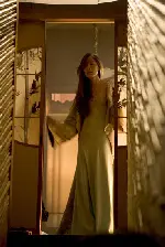게이샤의 추억 포스터 (Memoirs of a Geisha poster)