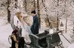 나니아 연대기-사자,마녀 그리고 옷장 포스터 (The Chronicles of Narnia: The Lion, the Witch & the Wardrobe poster)