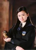해리 포터와 불의 잔 포스터 (Harry Potter and the Goblet of Fire poster)