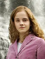 해리 포터와 불의 잔 포스터 (Harry Potter and the Goblet of Fire poster)