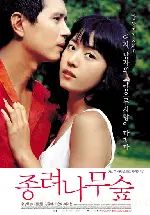 종려나무 숲 포스터 (The Windmill Palm Grove poster)