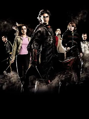해리 포터와 불의 잔 포스터 (Harry Potter and the Goblet of Fire poster)