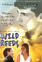 야생 갈대 포스터 (The Wild Reeds poster)