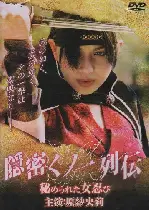 하라 사오리의 시크릿닌자 포스터 (The Secret Female Ninja poster)