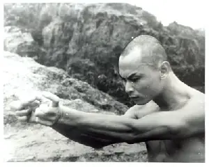 취팔권 광팔권 포스터 (Chwi-Pal And Gwang-Pal Martial Arts poster)